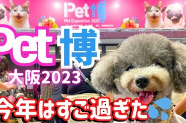 【Pet博2023大阪】ペット博に毎年行ってるけど今年は本当に凄すぎた！㏌インテックス大阪【前編】