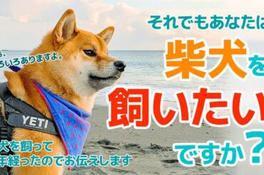 【聞くブログ】柴犬を飼いたいと思ったら／柴犬を飼う前に知っておいたほうが良いことを柴犬を飼って３年経ったのでお伝えします / If you want to own a Shiba Inu.