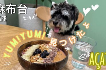 【愛犬とアサイー】美味しいアサイーボウルが食べられるTOKYO JUICE 麻布台ヒルズ店