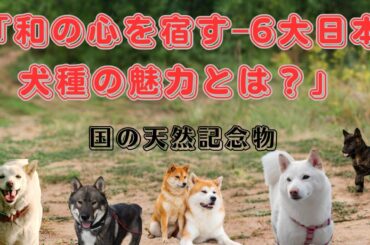 和の心を宿すｰ6大日本犬種の魅力とは？　　　（犬との幸せな暮らし）