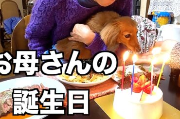 【感激】お母さんの誕生日に腕をふるう夫と食べるだけの愛犬【カニンヘンダックスえびすの日常】