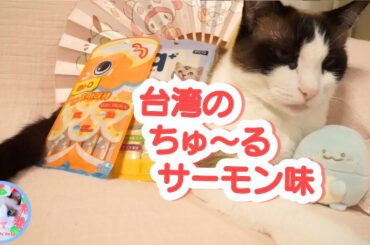 台湾のちゅーるは日本に住む猫に通用するのか？食べさせてみた！