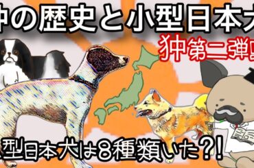 狆の歴史と小型日本犬〜小型日本犬は8種類⁈〜狆2狆２