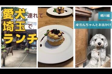 【愛犬とお出かけ 埼玉】桶川ペット可レストランに行ってきたよ